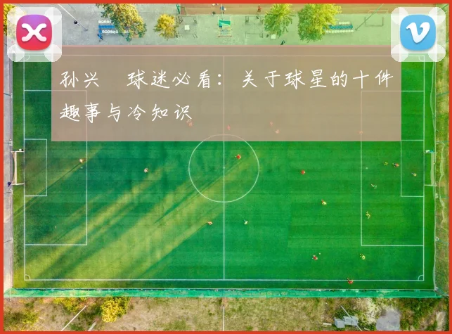 孙兴慜球迷必看:关于球星的十件趣事与冷知识